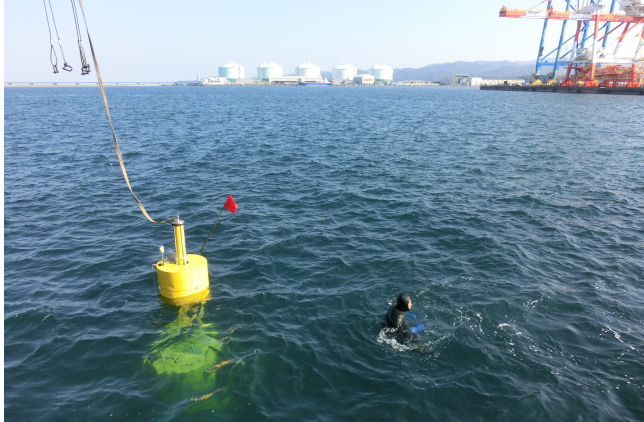 波力発電実物