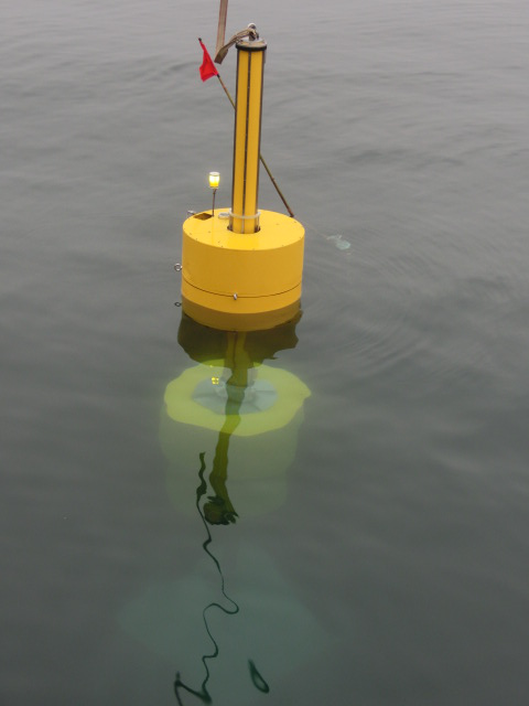 波力発電実物